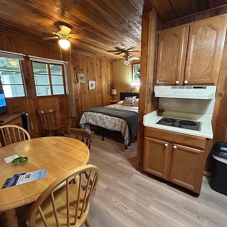 Mountain Lake Cottages 亨德森维尔 外观 照片