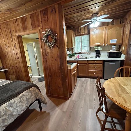 Mountain Lake Cottages 亨德森维尔 外观 照片