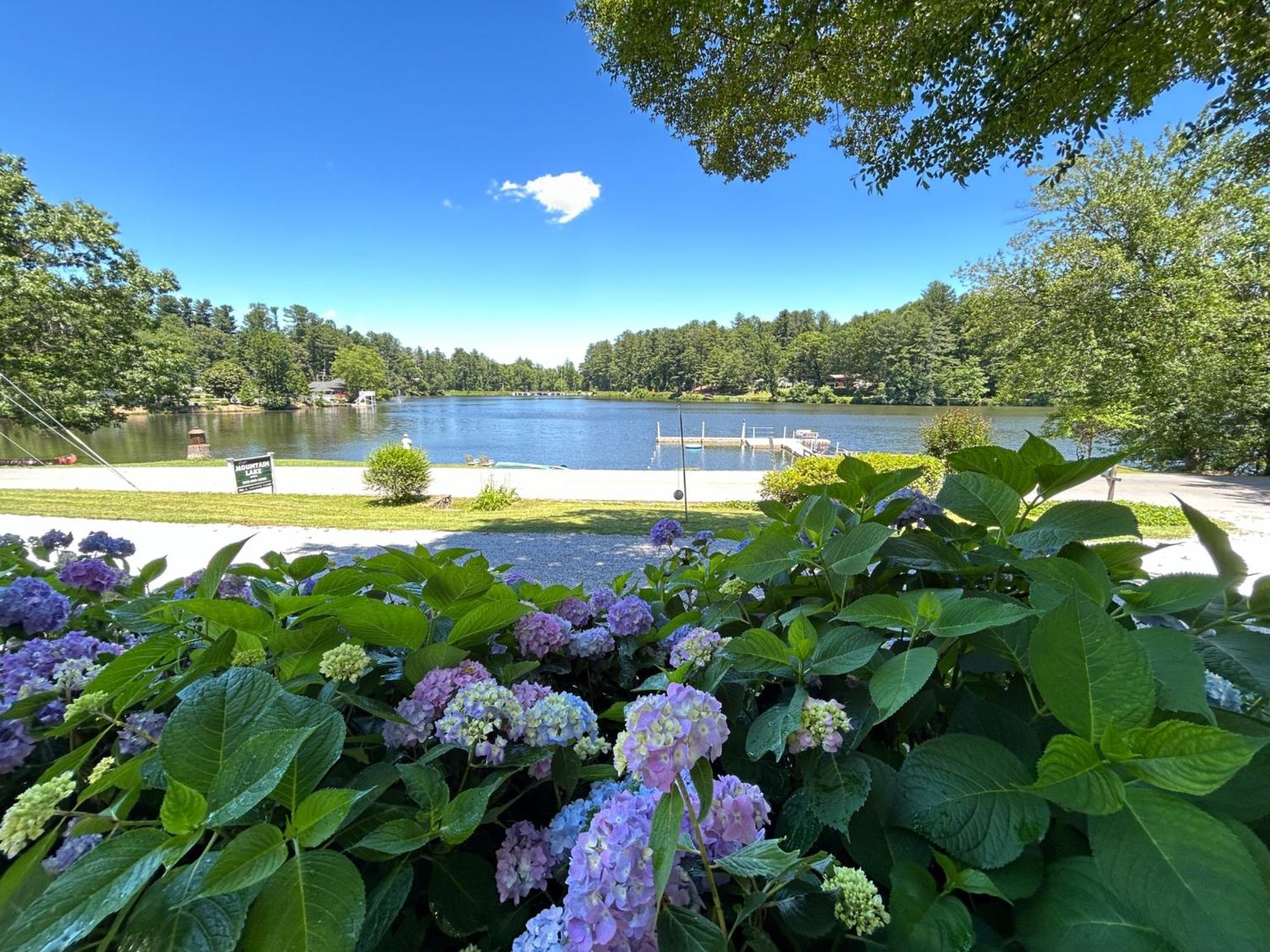 Mountain Lake Cottages 亨德森维尔 外观 照片