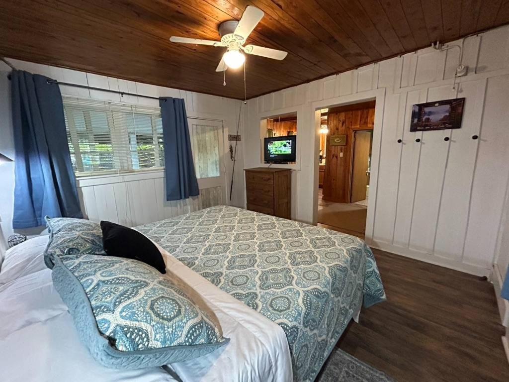Mountain Lake Cottages 亨德森维尔 外观 照片