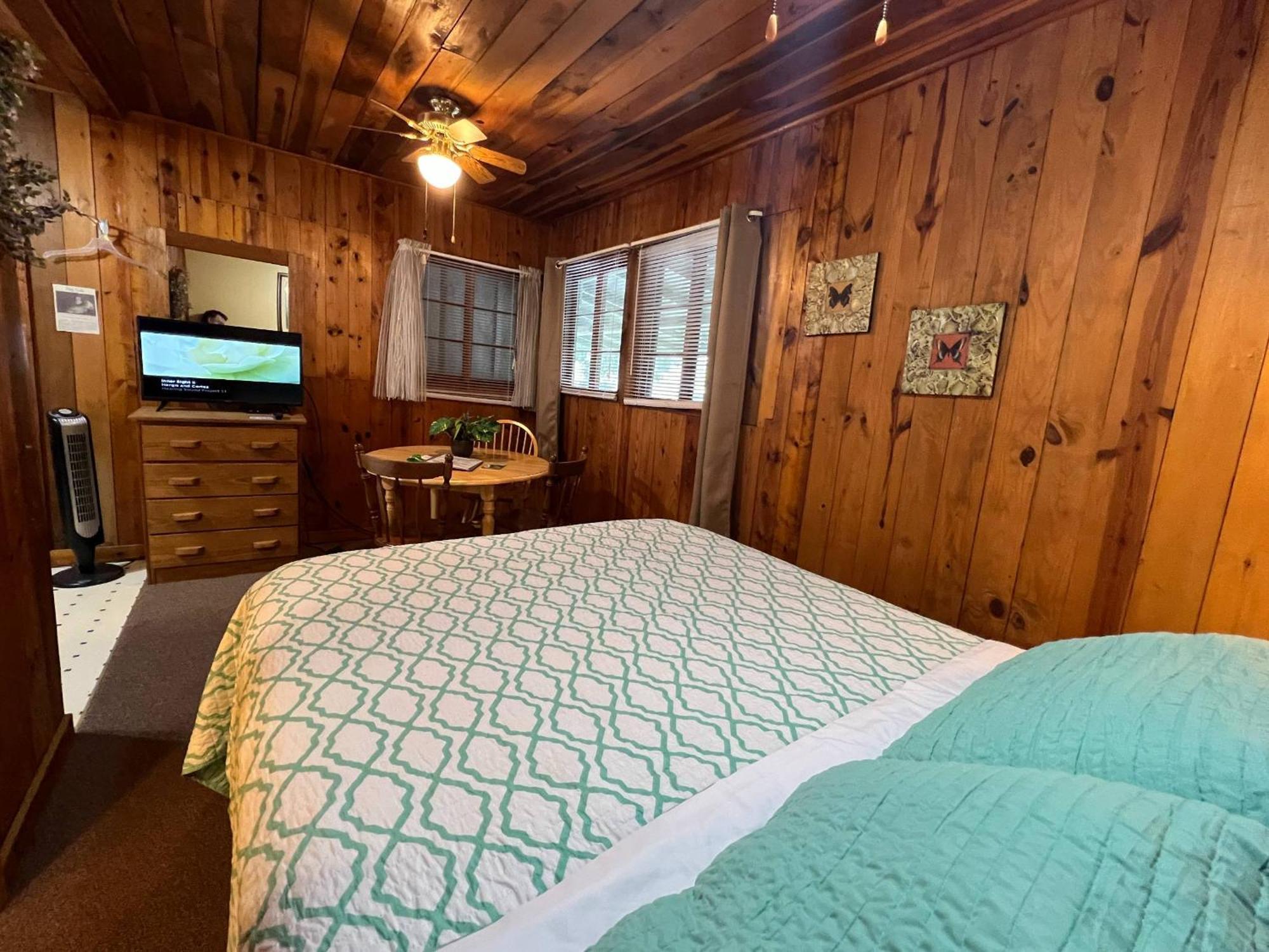 Mountain Lake Cottages 亨德森维尔 外观 照片