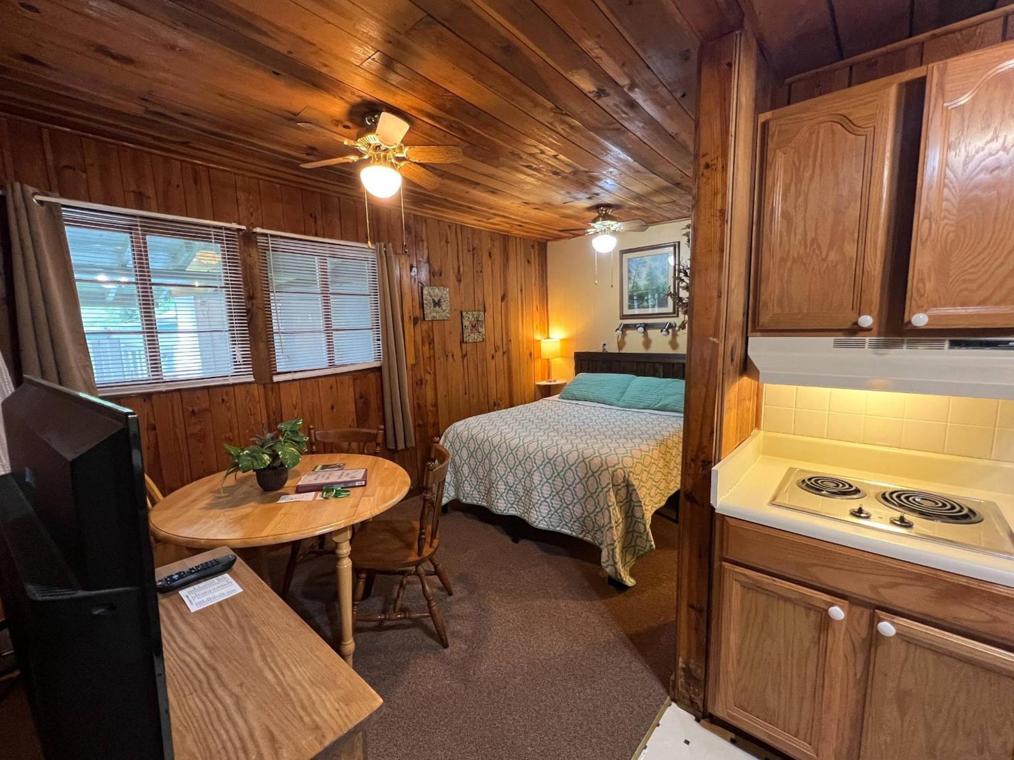 Mountain Lake Cottages 亨德森维尔 外观 照片
