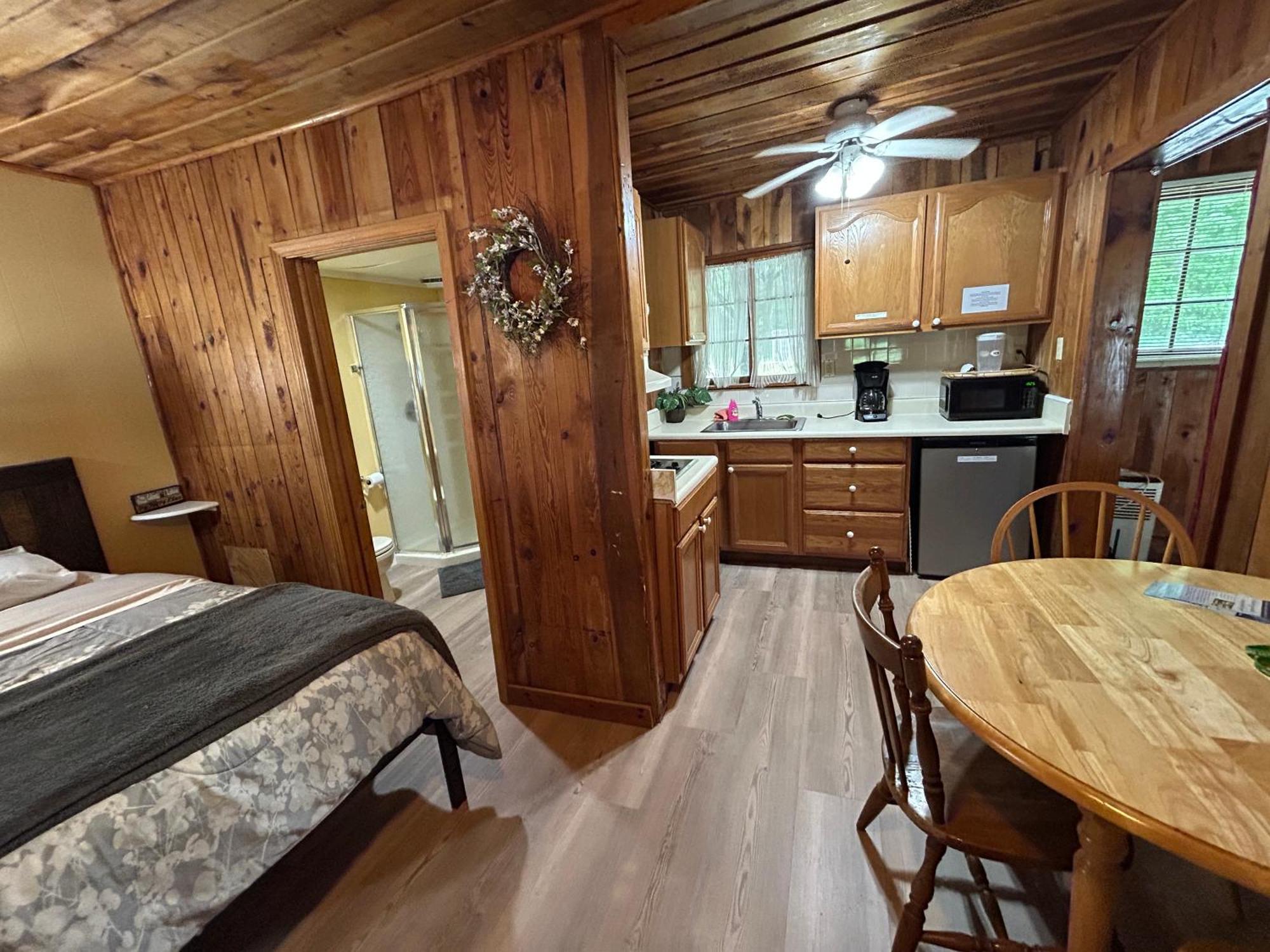 Mountain Lake Cottages 亨德森维尔 外观 照片